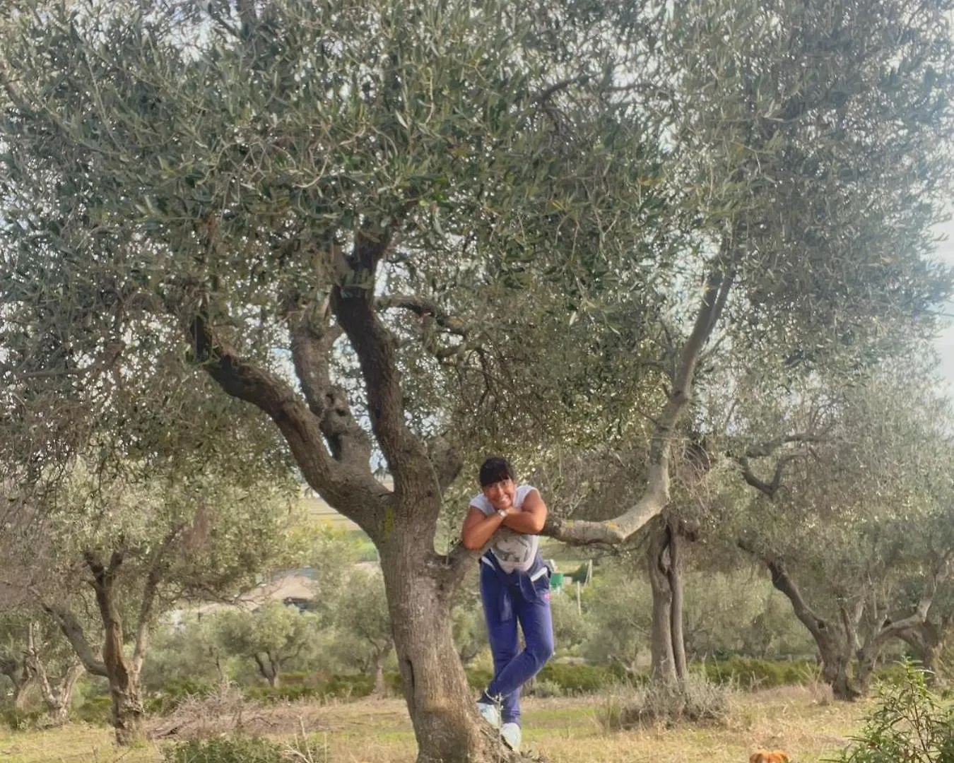 Agriturismo Porta Al Colle Macchiascandona