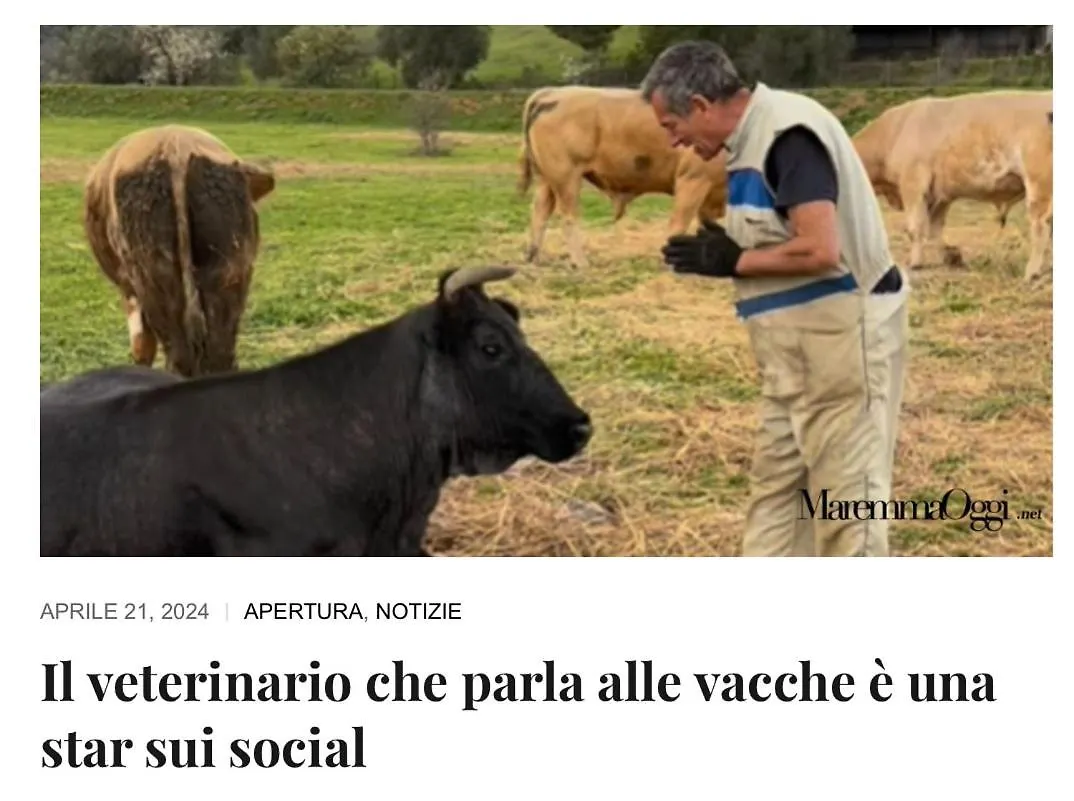 Appartamento Agriturismo Porta al Colle Macchiascandona