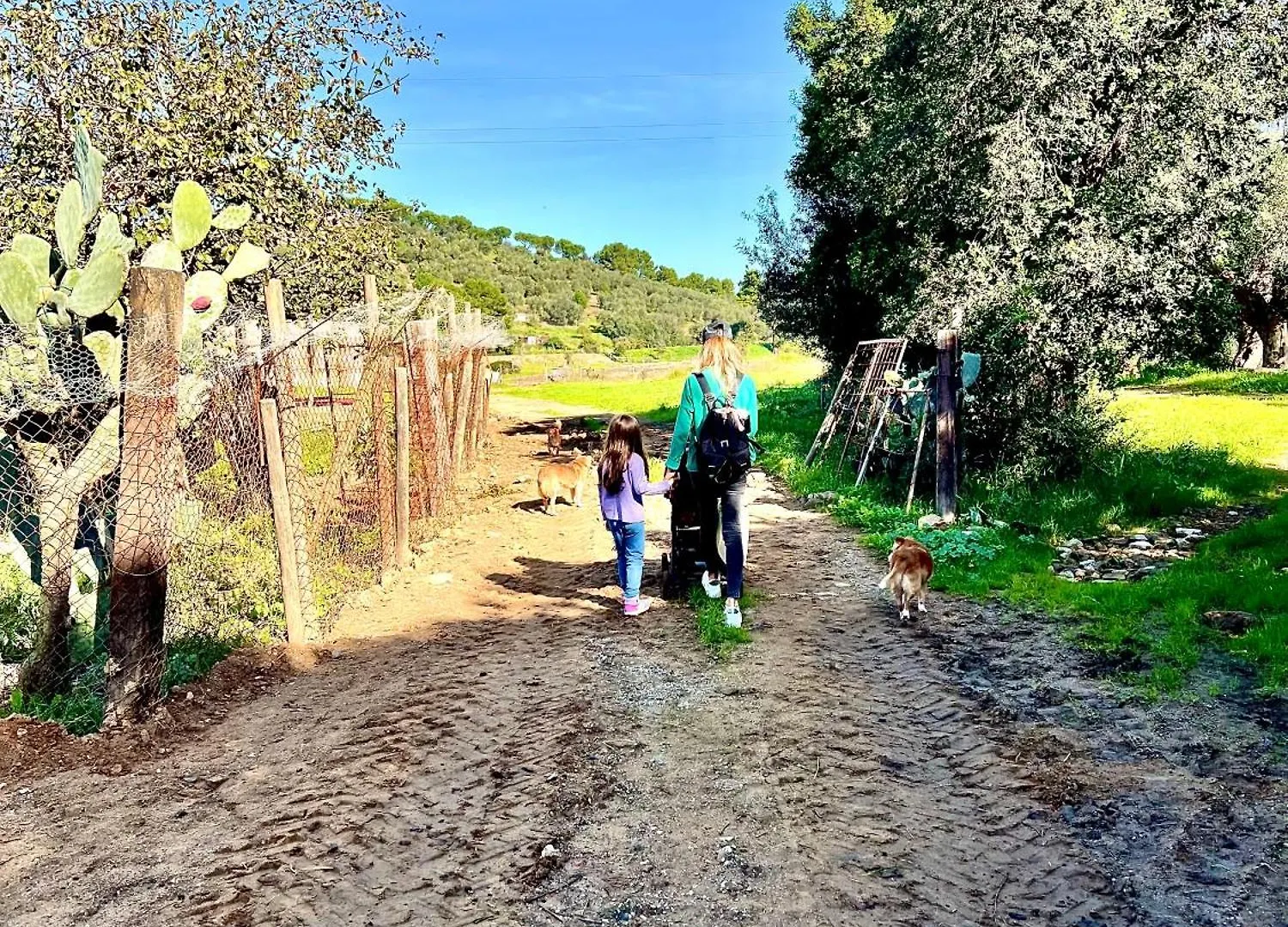 Agriturismo Porta al Colle Macchiascandona Appartamento